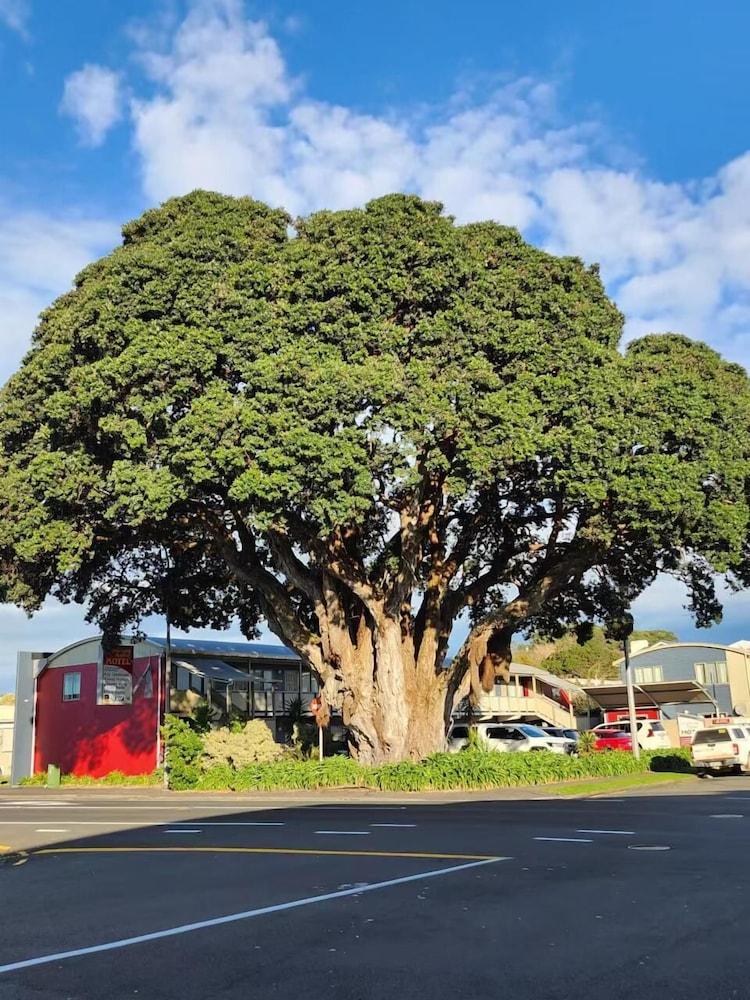 Landmark Manor New Plymouth Luaran gambar