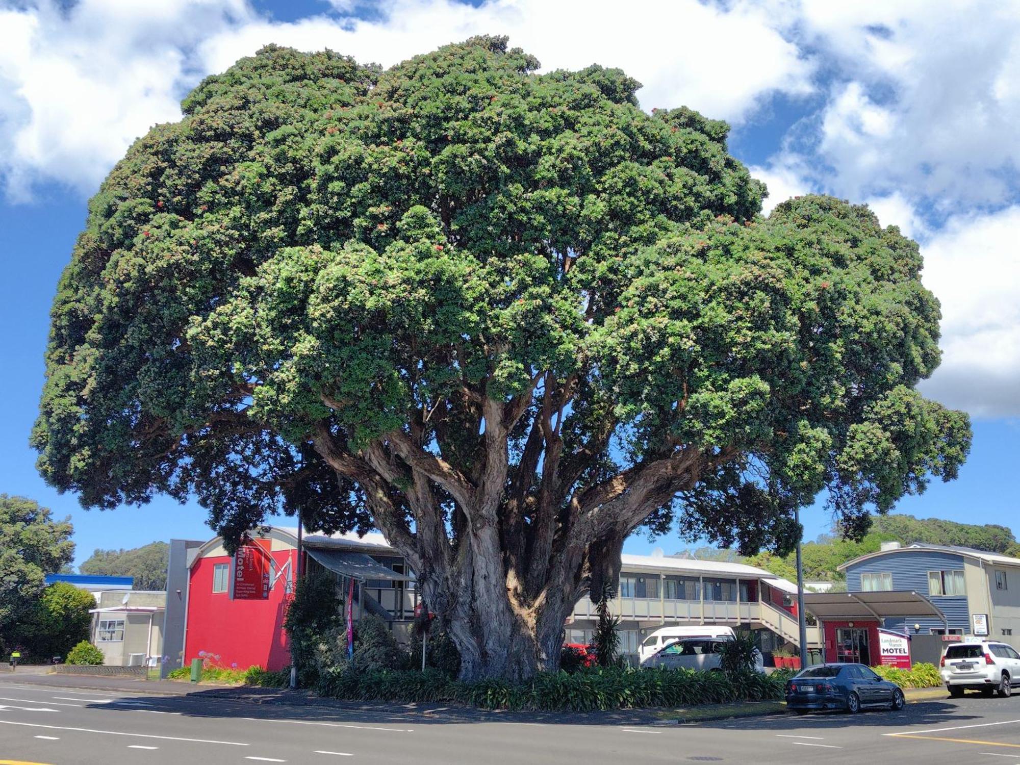Landmark Manor New Plymouth Luaran gambar